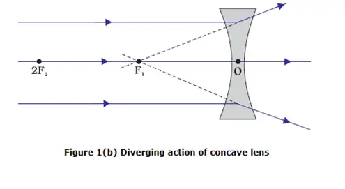 Diverging action of concave lens