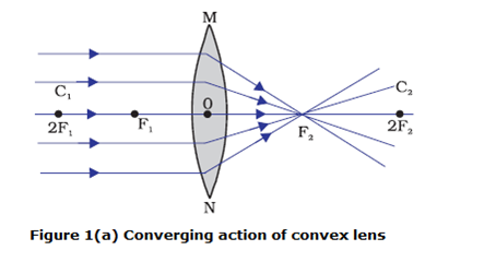 converging action of convex lens