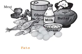NCERT Solutions for Class 6 Science Chapter  Components of Food