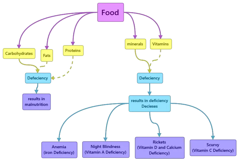 food where does it come from class 6 concept map