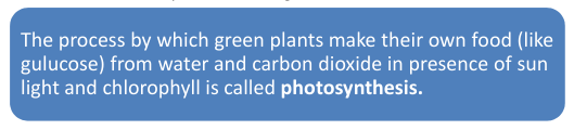 photosynthesis definition