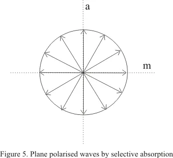 Vibrations in unpolarized and polarized light