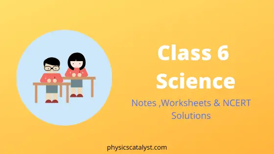 ncert solutions for class 6 science notes worksheets