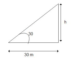 Class 10 Maths Important Questions  for  Application of Trigonometry