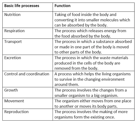 Life Process Notes for Class 10 Biology
