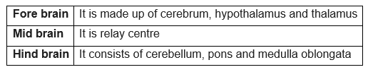 Class 10 Science Control and Coordination Important questions