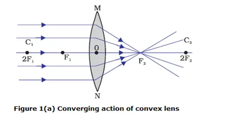 converging action of convex lens|Spherical Lenses