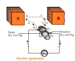 electric Generator| NCERT Solutions for Class 10 Science Magnetic Field Exercise