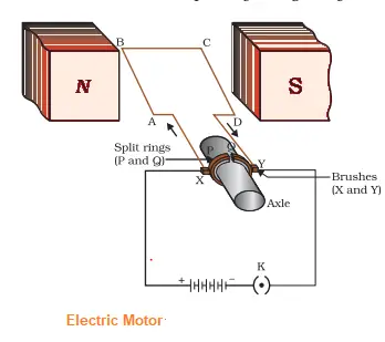Electric Motion diagram |NCERT Solutions for Class 10 Science Magnetic Field Exercise