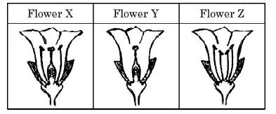 How do organism reproduce class 10 MCQ