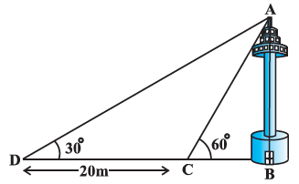 NCERT Solutions for Class 10th Maths Some Applications Of Trigonometry Exercise 9.1 Question 11