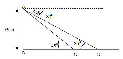 NCERT Solutions for Class 10th Maths Some Applications Of Trigonometry Exercise 9.1 Question 13