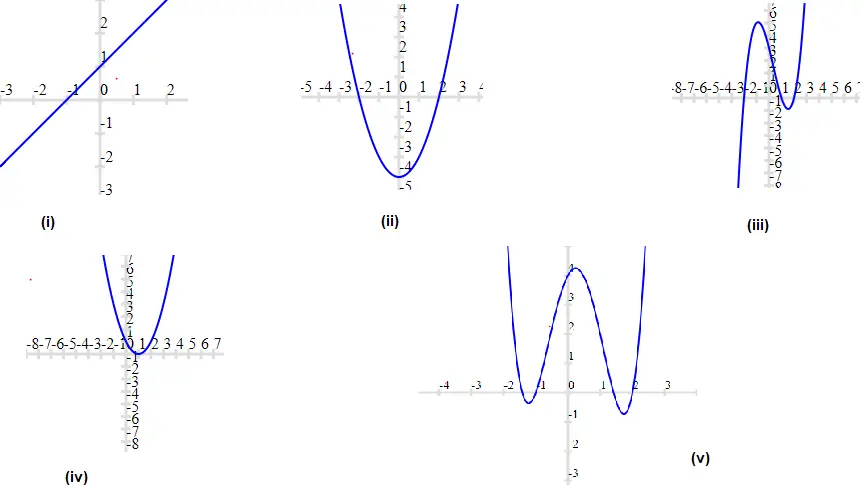 Polynomial graph questions