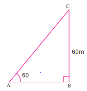NCERT Solutions for Class 10th Maths Some Applications Of Trigonometry Exercise 9.1 Question 5