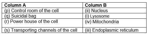 sample paper for class 9 biology fundamental unit of life