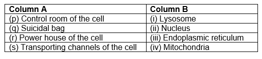 Class 9 Science Fundamental Unit of Life (cell)  Test Paper