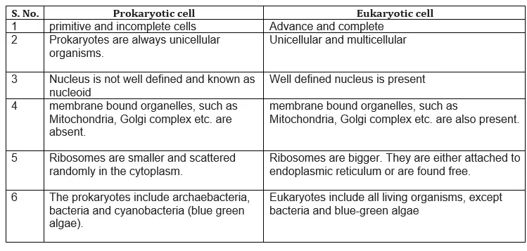 Differences between Prokaryotic and Eukaryotic cells
