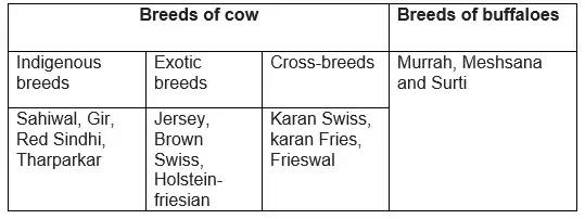 Animal husbandry and Cattle Farming | Class 9