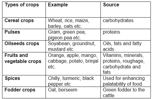 Crop production  Class 9 