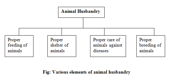 Animal Husbandry Chart