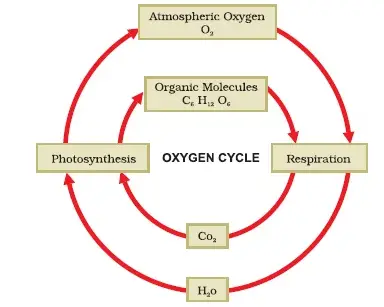 CBSE class 9 Natural Resources