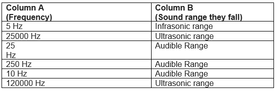 Important Questions and worksheet  for Sound  Class 9