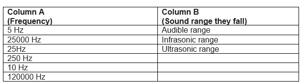 Class 9 Science Important Questions  for  Sound