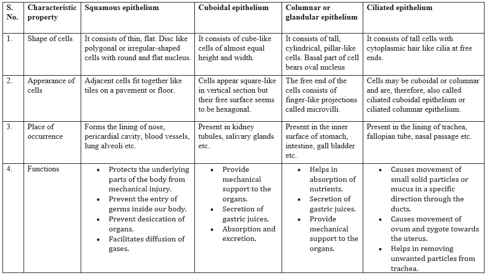 animal tissues class 9 notes