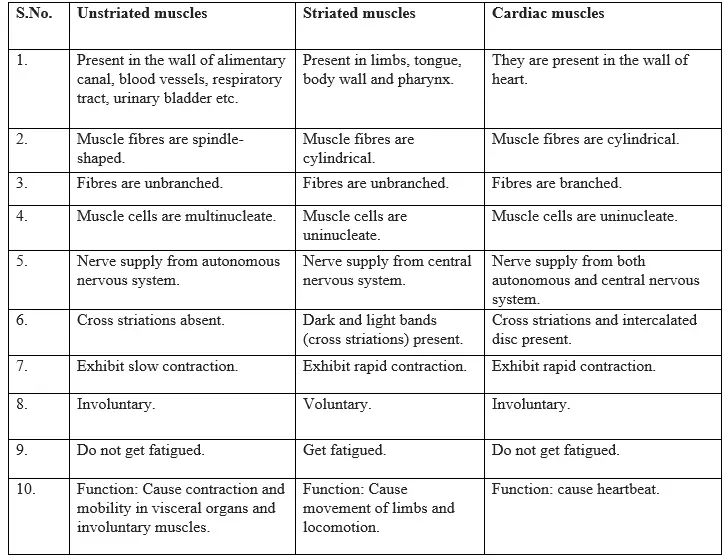 tissue class 9 notes