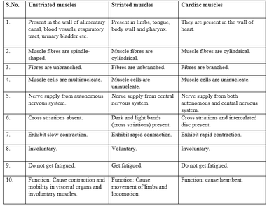 Detailed Tissues class 9 notes (NCERT book chapter 6)