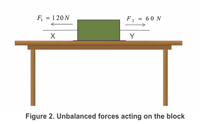 unbalanced forces acting on the block | Force and laws of motion class 9 Note