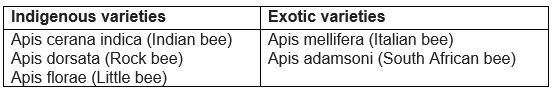 Bee-Keeping | Class 9 biology notes