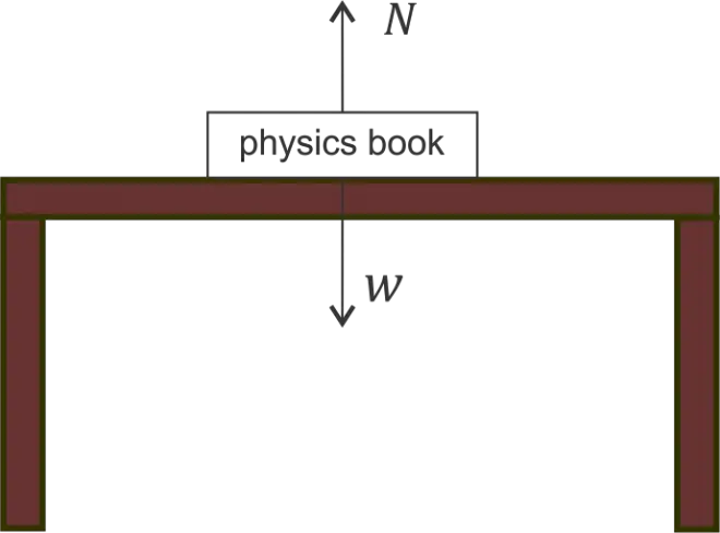 newton-s-third-law-of-motion-action-reaction-and-examples