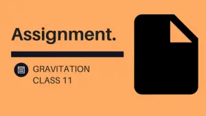 gravitation assignment class 11