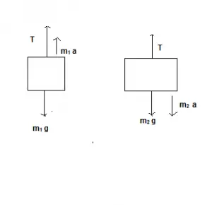 Free Body Diagrams : Definition, Concepts, Examples, Practice Problems