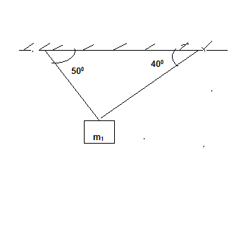 body diagrams definition