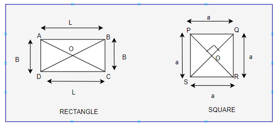 Difference Between Square and Rectangle