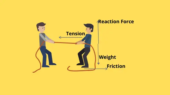 profesor-de-fisica - Tug of war force diagram