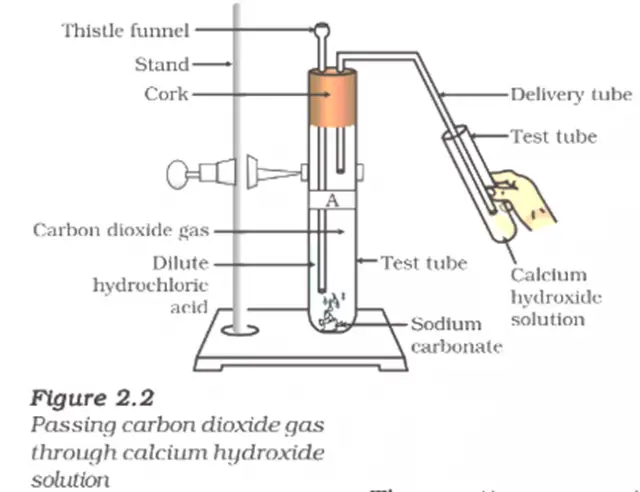 Activity 2.5: Exploring Acid-Base Reactions In Class 10 Science ...