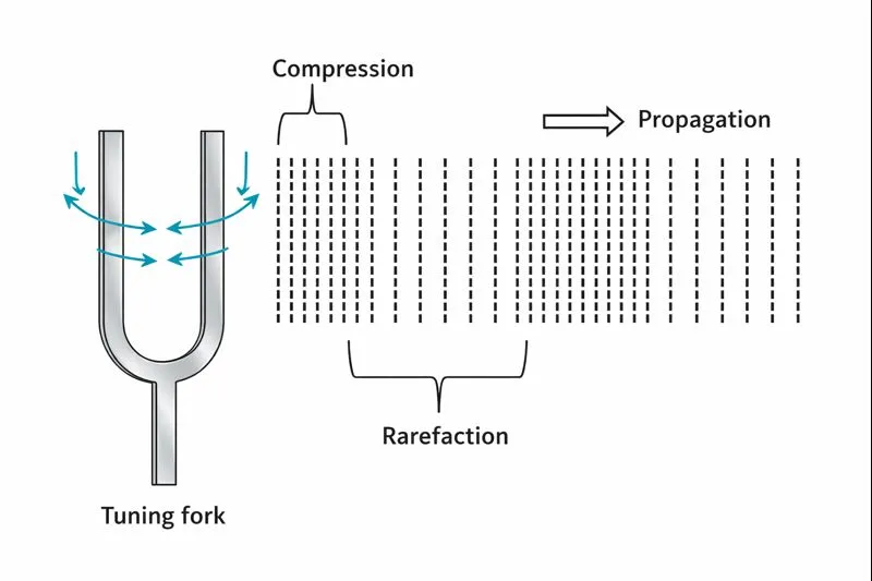 Diagram showing a vibrating tuning fork producing compressions and rarefactions in air during sound propagation