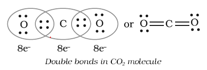 double covalent bond