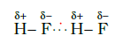 hydrogen bond forces