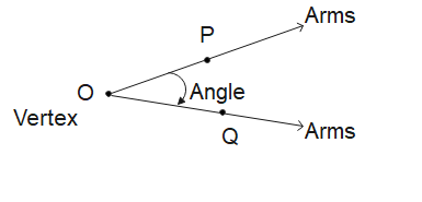 Angles,Vertex,Arm