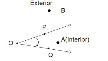 Interior and Exterior of Angle
