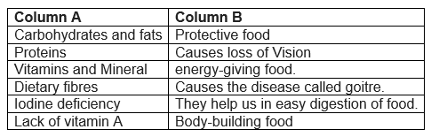 Practice Worksheets for Class 6 Science Chapter  Components of Food