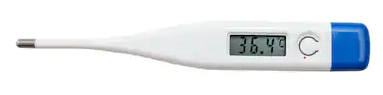 Digital thermometer