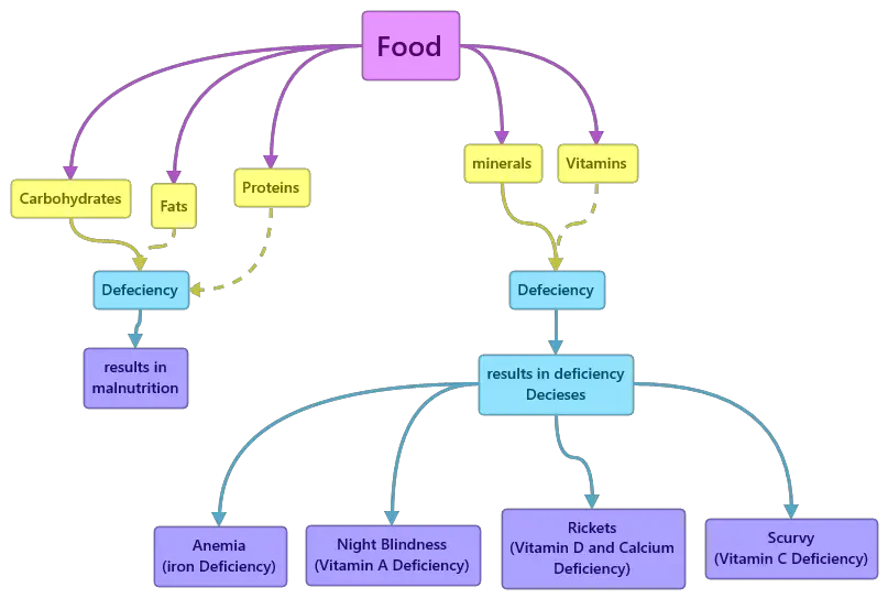 Food Where Does It Come From Mind Map 