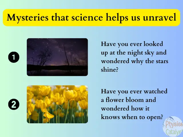 mysteries-that-science-helps-us-solve-min