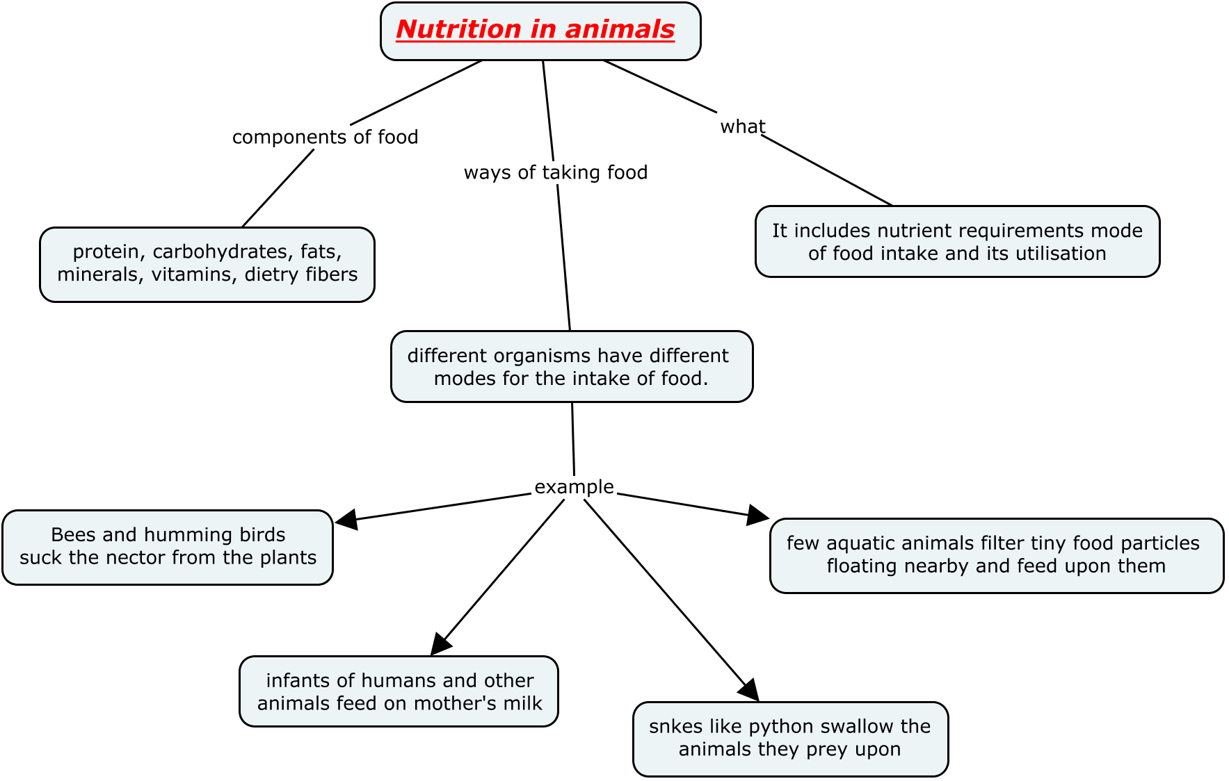 Class 7 CBSE Science Nutrition in animals REvision Sheet ...
