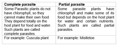 Class 7 CBSE Science Nutrition in Plants Worksheet